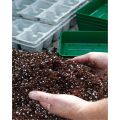Compost Soil For Seedling,Potting,Cactus & Bonsai  5L. 