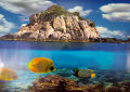PVC Double Side Aquarium Background size 1.5x4 feet Poster Decoration Fish Tank Wall Lanscaping Decorative Background Poster. 
