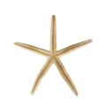 White Starfish Five Fingers For Decoration, Art And Craft, Approximate Size : 3.2 x 2.9 x 0.3 Inches. 