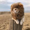 Cute Pet Cosplay Clothes Wig Emulation Transfiguration Costume Lion Hair Mane Ears Head Cap For Pet Cat Dog Dress Up Photo Props. 