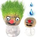 Grass Head Doll Educational Toys For Kids -Small Potted Ornaments with Cultivation Medium Toys For Girls - Mini Grasshead Hair Grow Toy Gardening Decoration items. 