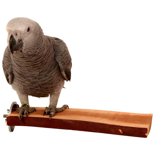 UK%20Bird%20Toys%20%204%20pack%20perches%20Natural%20Wood%20Parrot%20Stand%20Set%20for%20Parakeets%20Paw%20Grinding%20Stand%20Platform%20Bird%20Cage%20Accessories%20Exercise%20Toys%20Cockatiels%20Conure%20Lovebirds%20Natural%20wooden%20perch%20and%20cage%20toy%20Parrot%20Stand%20Branch%20Platform%20%20grey%20raw%20macaw%20Cockatiel%20-%20Image%206