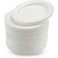 Disposable Plastic Plate Medium Size - 50 Pcs. 