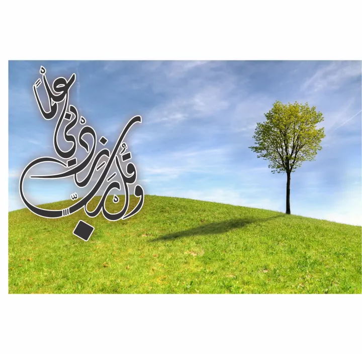 WA%20QUL%20RABBI%20ZIDNI%20ILMA%20Calligraphy%20Islamic%20Reusable%20Stencil%20for%20Canvas%20and%20wall%20painting.ID#4090%20-%20Image%205