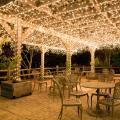 LED Fairy Light bulb Decorative String Light 25FT long wire (Golden). 
