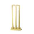 Set of 3 Heavy Durable Plastic Wicket Stumps with Bails - Perfect for Cricket Practice and Casual Games (Plastic Wicket Set) Easy to Set Up and Take Down (Random Color). 