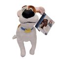 Planet T: THE SECRET LIFE OF PETS: MAX. 