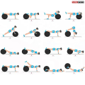 Tango Sports & Fitness 75CM Anti-Burst Exercise Gym Ball with Air Pump – Premium Yoga Ball for Core Workouts, Stability Training, and Home Exercise. 