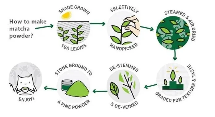 Popular%20for%20AMAZON%20Vendors%20100%25%20Pure%20Natural%20Organic%20Matcha%20OEM%20with%20White%20Label%20200grams%20-%20Image%205