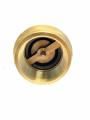 Brass Check Valve 3/4'' NRV (Made In China). 