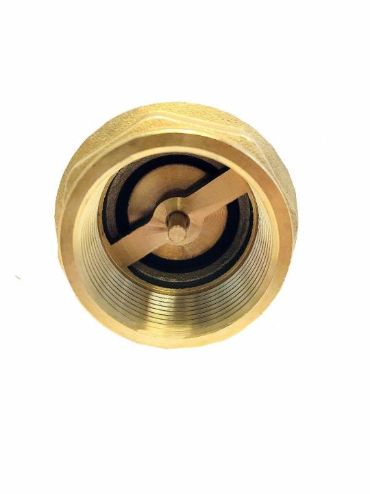 Brass%20Check%20Valve%201''%20NRV%20(Made%20In%20China)%20-%20Image%205