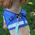 tranquillt Cat Walking Jacket Harness and Leash Pets Puppy Kitten Clothes Adjustable Vest. 
