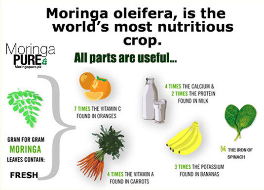 Moringa%20Oleifera%20Dried%20Leaves%20Pakistan%20250g%20-%20Image%207
