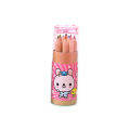 Manga 12 Color Pencils Crayons Set for Children Cute Anime Stationery Oily Colored Pencils for Drawing Sketch Art Supplies. 
