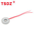 10Pcs 10/13.8/16/20/25MM Atomizing Sheet Transducer Sheet Vibrating Sheet Ultrasonic Atomizer Head Humidifier Accessories. 