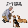 Dog Training Sticks - Dog Agitation Whip Dog Teaser Wand Stick for German Shepherd Boxer Training - And For All Breed of Dogs - Best Training Sticks. 