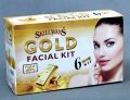 SkillMans 24K Professional Gold Facial Kit 6x100ml. 
