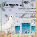 Salmonella Mix 4 In 1 in Loose & Company Pack - Bacterial / Canker Treatment for all types of Birds ( DAC PHARMA NEATHERLAND ). 