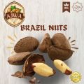Brazil Nuts – Brazilian Nuts – Brazil Nuts Shelled – Shelled Brazilian Nuts 250 Grams Pack. 
