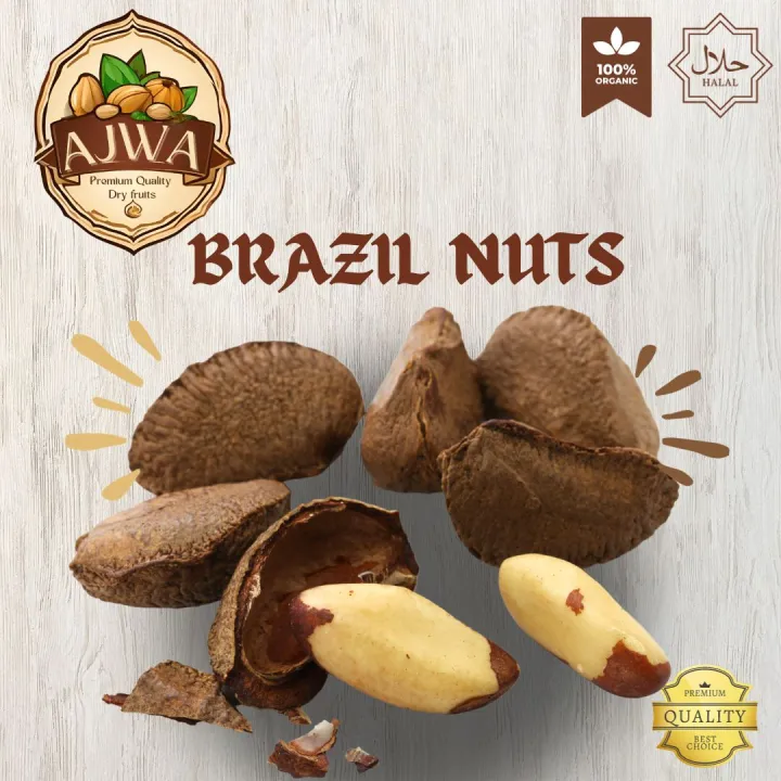 Brazil%20Nuts%20%E2%80%93%20Brazilian%20Nuts%20%E2%80%93%20Brazil%20Nuts%20Shelled%20%E2%80%93%20Shelled%20Brazilian%20Nuts%201%20kg%20Pack%20-%20Image%202