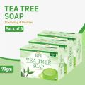 Green Valley Tea Tree Soap - Pack of 3 (90g Each) | Herbal Glycerin Soap | Cleanses & Purifies | Acne Control. 