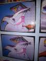 Baby Carry Coat & Swings with 3-1 Option Imported Die-casting Plastic Made.. 