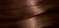 Garnier Color Naturals - 5 1/2 Creamy Coffee Hair Color. 