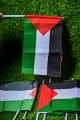 Premium Quality Palestine Flag (3 Pieces) Small Palestine Flag Palestine Gaza Flag Hand Flag Best Quality Flag In Very Low Price Premium Flag. 