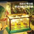 Mini Garden Scientific Plant Greenhouse Exploration  Educational Learning Toy for Kids. 