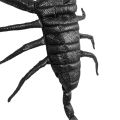 Cat Clothes Vivid Scorpion Shape Funny Halloween Cat Costumes for Dressing Up Pet. 