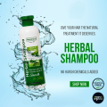 Mahmood Herbals - Neem and Aloevera - Sulphate free shampoo - Herbal Shampoo - Paraben Free Shampoo - Anti Dandruff Shampoo  - Anti Hairfall shampoo - Sulphate free shampoo for frizzy hair - Herbal Essence Shampoo - Chemical Free Shampoo. 