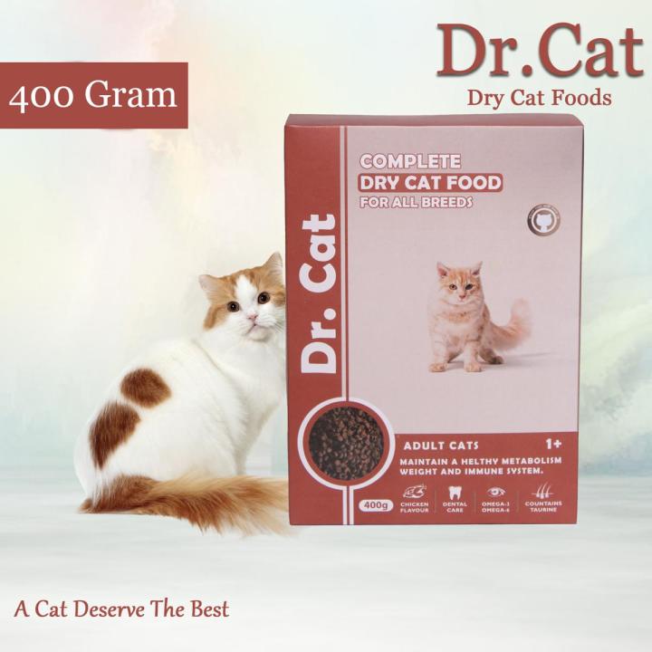 Dr.%20Cat%20Dry%20Cat%20Food%20Chicken%20400g%20%20%7C%20Premium%20Healthy%20Cat%20Food%20%7C%20Nutritious%20Dry%20Cat%20Food%20%7C%20Complete%20and%20Balanced%20Cat%20Food%20for%20Healthy%20Cats%20%7C%20Best%20Cat%20Food%20for%20Active%20Cats%20%7C%20Pet%20Supplies%20-%20Image%203