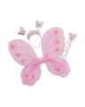 Fairy Wings Set For Kids. 