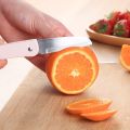 Paring Knife, Stainless Steel Peeling Knife, Fruit and Vegetable Knife, Ergonomic Handle Travelling Knife, Folding Knife different Variants. 