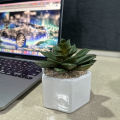 Artificial Aloe Vera Plant Ceramic Plant Pot. 