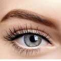 Nx Eye Color Lens Just Like Natural Lens Shade Name gray free kit. 
