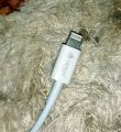 Genai 2in1 Data Cable (Supports Iphone + Android Both). 