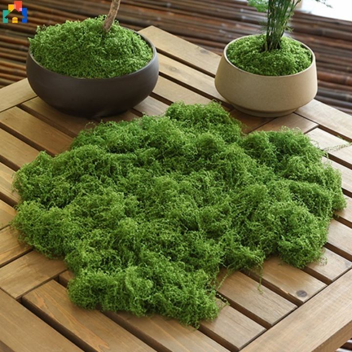 Moss Grass Turf Lawn Artificial Moss Green Fake Plant for Home Garden Wall DIY Micro Landscape Decoration