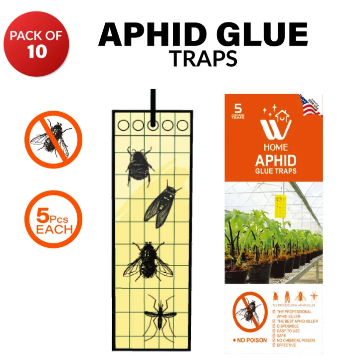 (Pack%20of%2010)%20W%20Home%20Aphid%20Glue%20Trap%20%7C%20Insect%20Killer%20Traps%20-%20Image%202