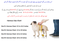 PET Denim Style Dog Leash Harness Set Nylon Adjustable Collar Vest Retractable PS503 PS-LH. 