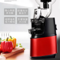 Savtm Je 35 Cold Press juicer 250 watt whole slow juicer. 