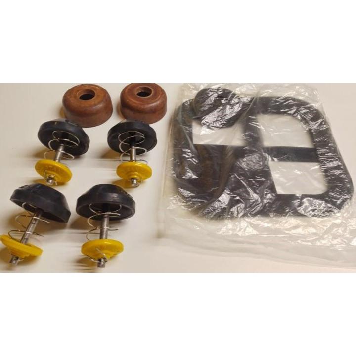Plunger Set Boghi with spring valves and Jain set Packing for Donkey Pump