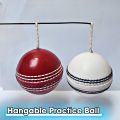 Hanging Practice Ball with and without elastic/rope Hangable Practice ball for Shots Practice Indoor Hangable Practice Ball to play cricket by your own | by Partners Collections. 
