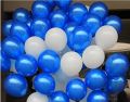 Pack of 100 ( 50 Golden & 50 Black ) Party Balloons - 14 Inch High Quality Latex Balloons for Black and Golden Theme Birthday Party Decoration, Weddings etc. 