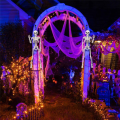 2Pcs Skeleton Halloween Decoration, 16 Inch Full Body Posable Halloween Hanging Skeleton for Indoor Outdoor. 