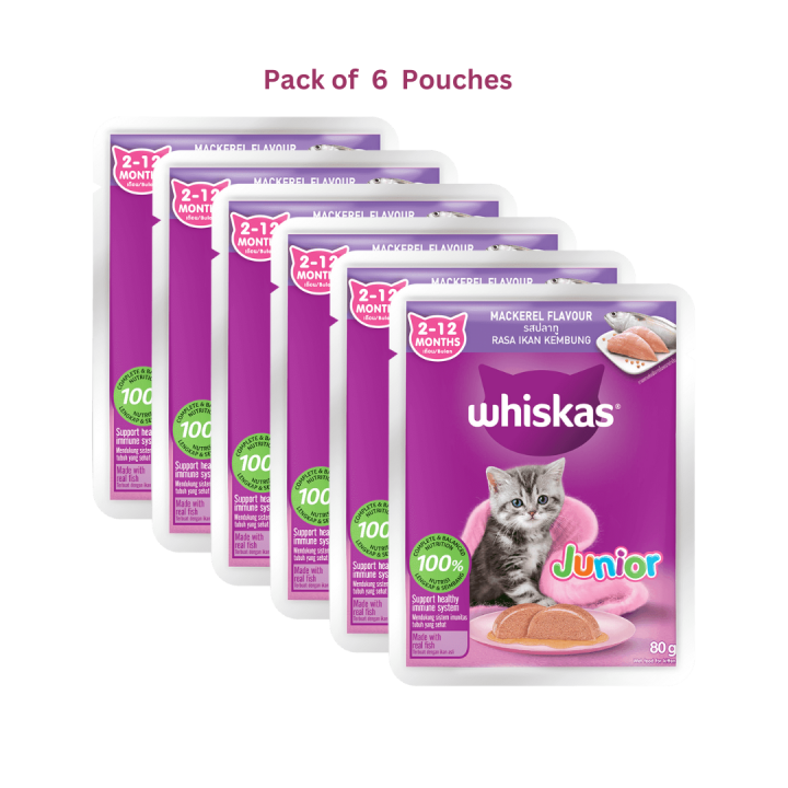 Whiskas Jelly Mackerel 2-12 Month's Junior 80G x 6