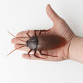 【BestGO】New and exotic remote control cockroach ant  toy electronic black widow spider benefit. 