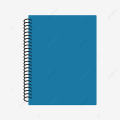 Printed Standard Size High Quality Pages Diary Note Book Life Time Diary with Beautiful Pen. 