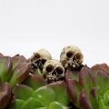 40Piece Skulls Human Head Skull Realistic Skeleton Skulls for Halloween Table Decor. 