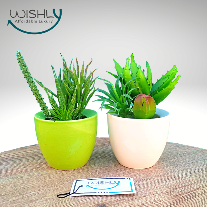 Wishly%20Small%20Succulent%20Artificial%20Plants%20in%20Pots%20Set%20of%202%20Pcs,%20Assorted%20Mini%20Faux%20Aesthetic%20Cactus%20potted%20Succulents%20arrangements%20for%20Home,%20Office,%20Bedroom,%20Washroom%20&%20Living%20Room,%20Outdoor%20&%20Indoor%20Decor.%20-%20Image%206